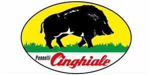 CINGHIALE